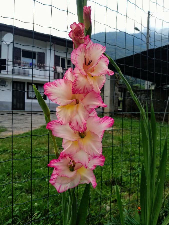 Вилла Chez Bonjour Villar Pellice Экстерьер фото