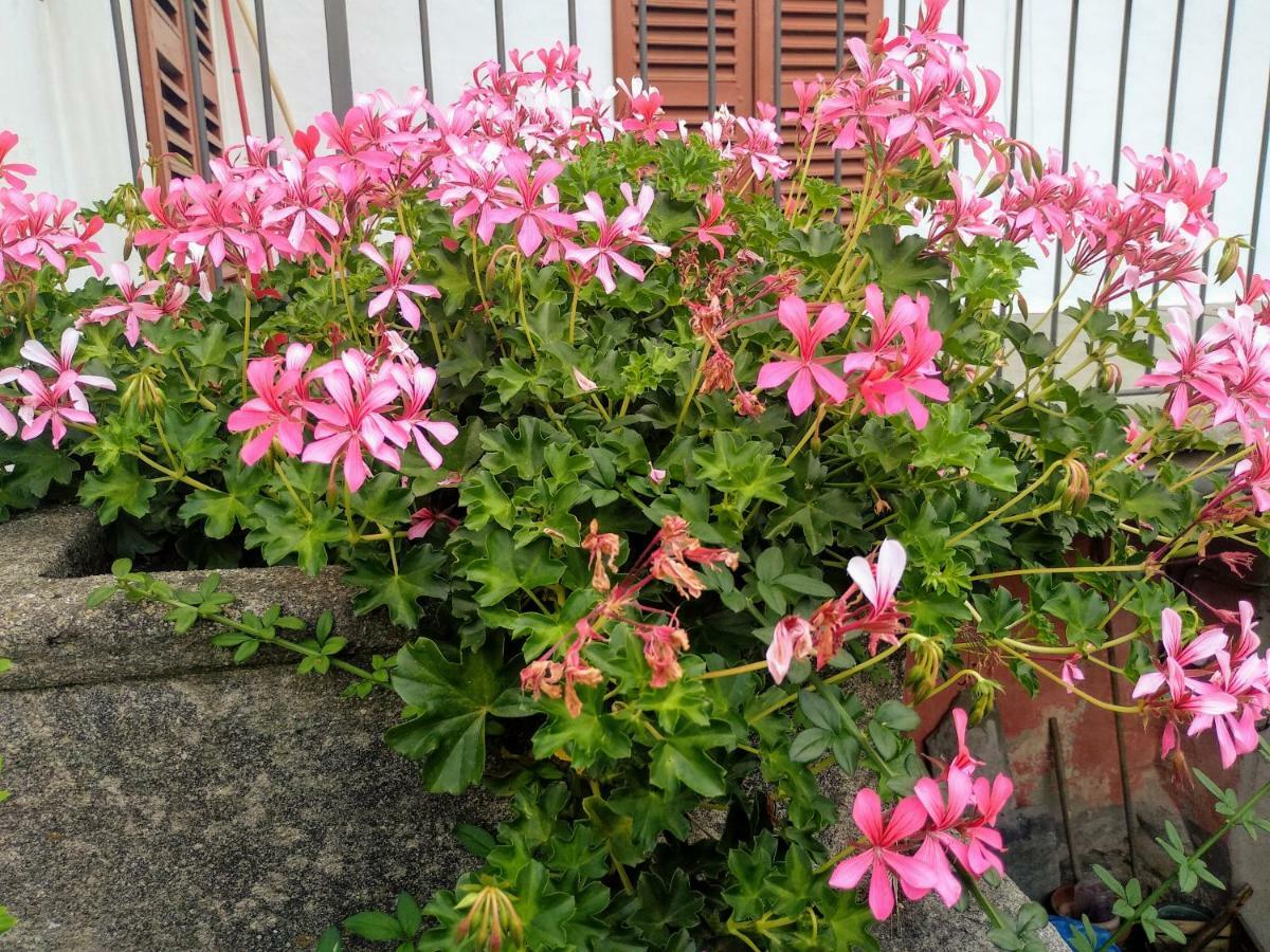 Вилла Chez Bonjour Villar Pellice Экстерьер фото